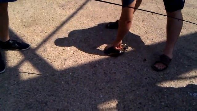 Американцы не едят карпы ! как русские рыбу ловля США смотреть онлайн