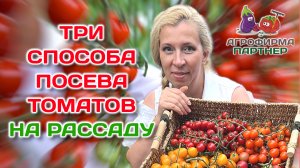 Три способа посева томатов на рассаду | #огород #рассада #томаты