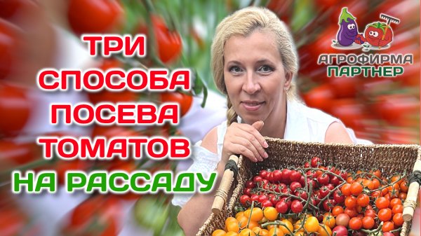 Три способа посева томатов на рассаду | #огород #рассада #томаты