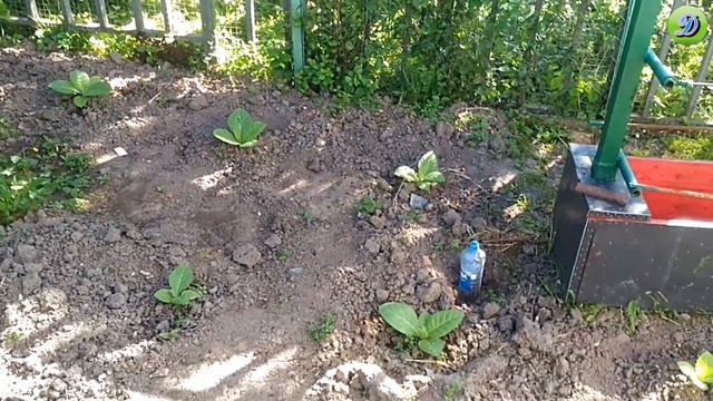Табачок после затяжной весны смотреть онлайн