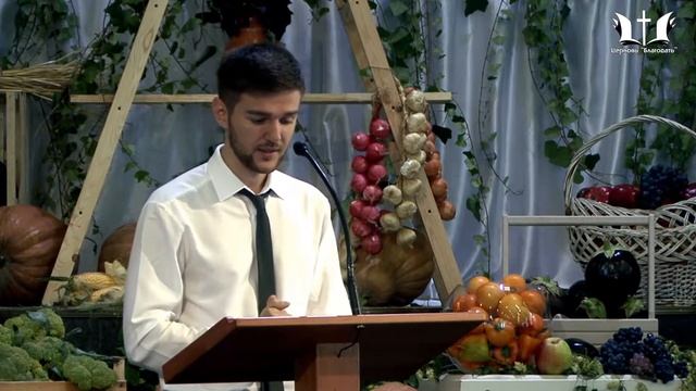 24 09 17 Мамонтов А Р смотреть онлайн