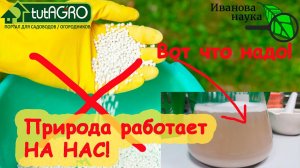 НАУЧНАЯ ПЯТНИЦА. Как из ничего сделать удобрение! Наши незаменимые помощники - АЗОТФИКСАТОРЫ.