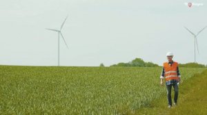 Сельская жизнь Голландии и тюльпаны