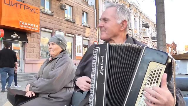 Лаванда, горная лаванда смотреть онлайн