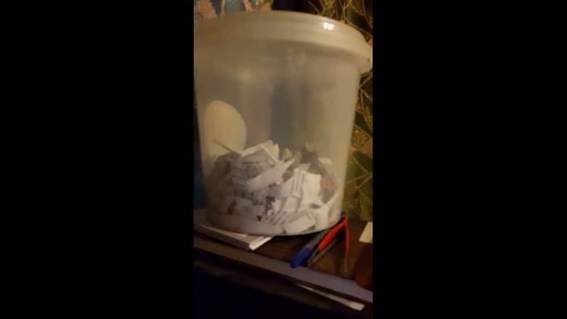 завёл себе мышку смотреть онлайн
