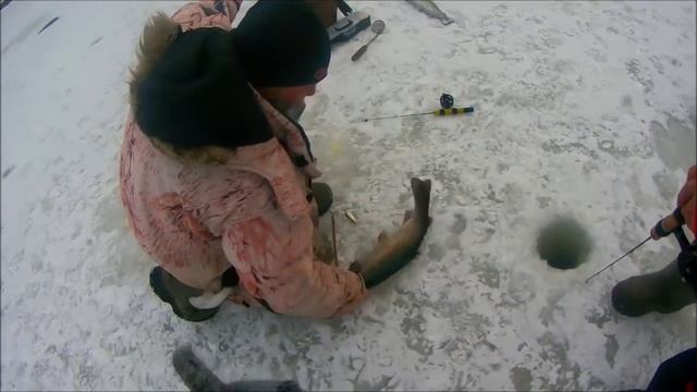 КЛЁВ ОТЛИЧНЫЙ, КРУПНАЯ ФОРЕЛЬ НА БЛЁСНА СО ЛЬДА смотреть онлайн