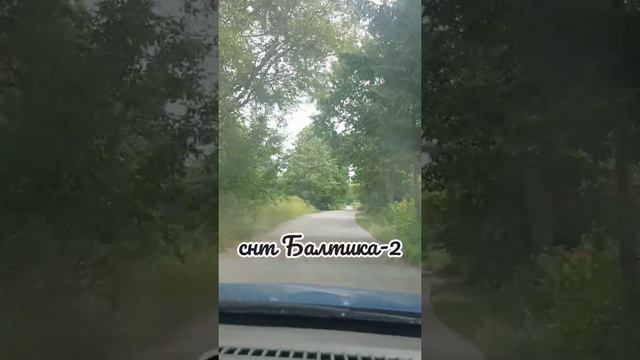Калининградская обл., МО «Светловский ГО», п. Взморье, ТСН «Балтика-2». смотреть онлайн