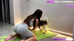 ЖОПЫ СТРИМЕРШ, СОЧНЫЕ ЖОПЫ СБОРКА №1