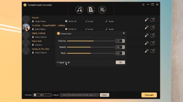 Convert Audio Files, Apple Music, Audible, ITunes Music, Audiobooks To MP3 On PC