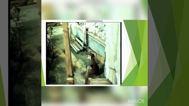 Видео урок 10- класс( Кадырахунова Рахима)УВК им. Боконбаева Жалалабадской обл. Сузакского р/на. смотреть онлайн