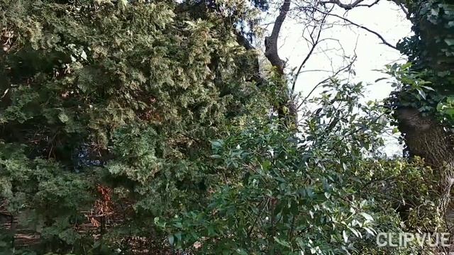 СПАСИБО БОГУ ПЕРЕД СНОМ!!! смотреть онлайн