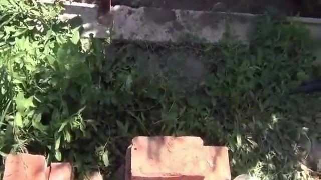 Тандыр (тонир) из красного кирпича своими руками часть 4. смотреть онлайн