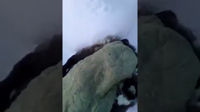 В гостях у Якута смотреть онлайн