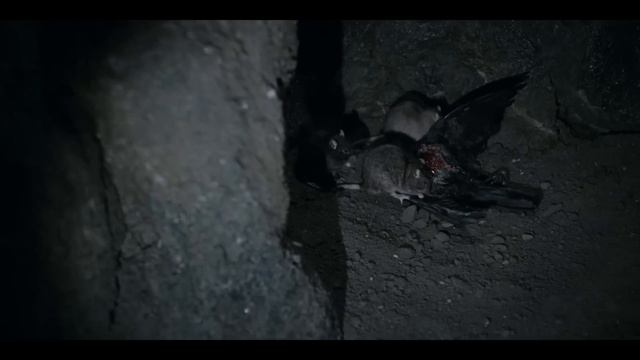 Извне(From) - Разбор Теорий - Интересные Факты