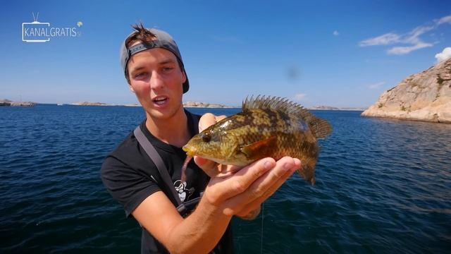 SEA CLIFF FISHING IN SWEDEN - What Do We Catch?! | Team Galant смотреть онлайн