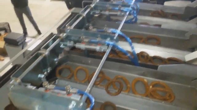 Оборудование для упаковки хрупких труднодозируемых пищевых продуктов смотреть онлайн