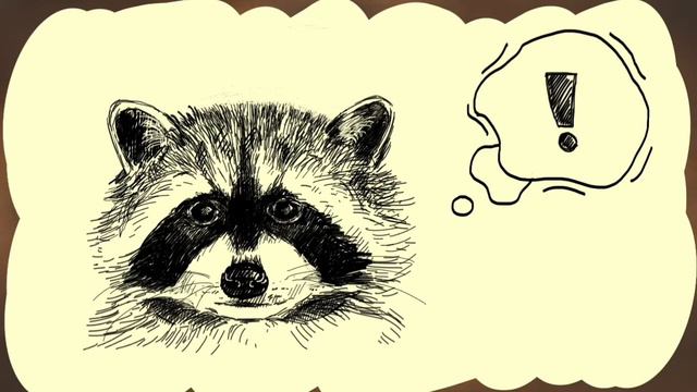 Raccoon And Coffee