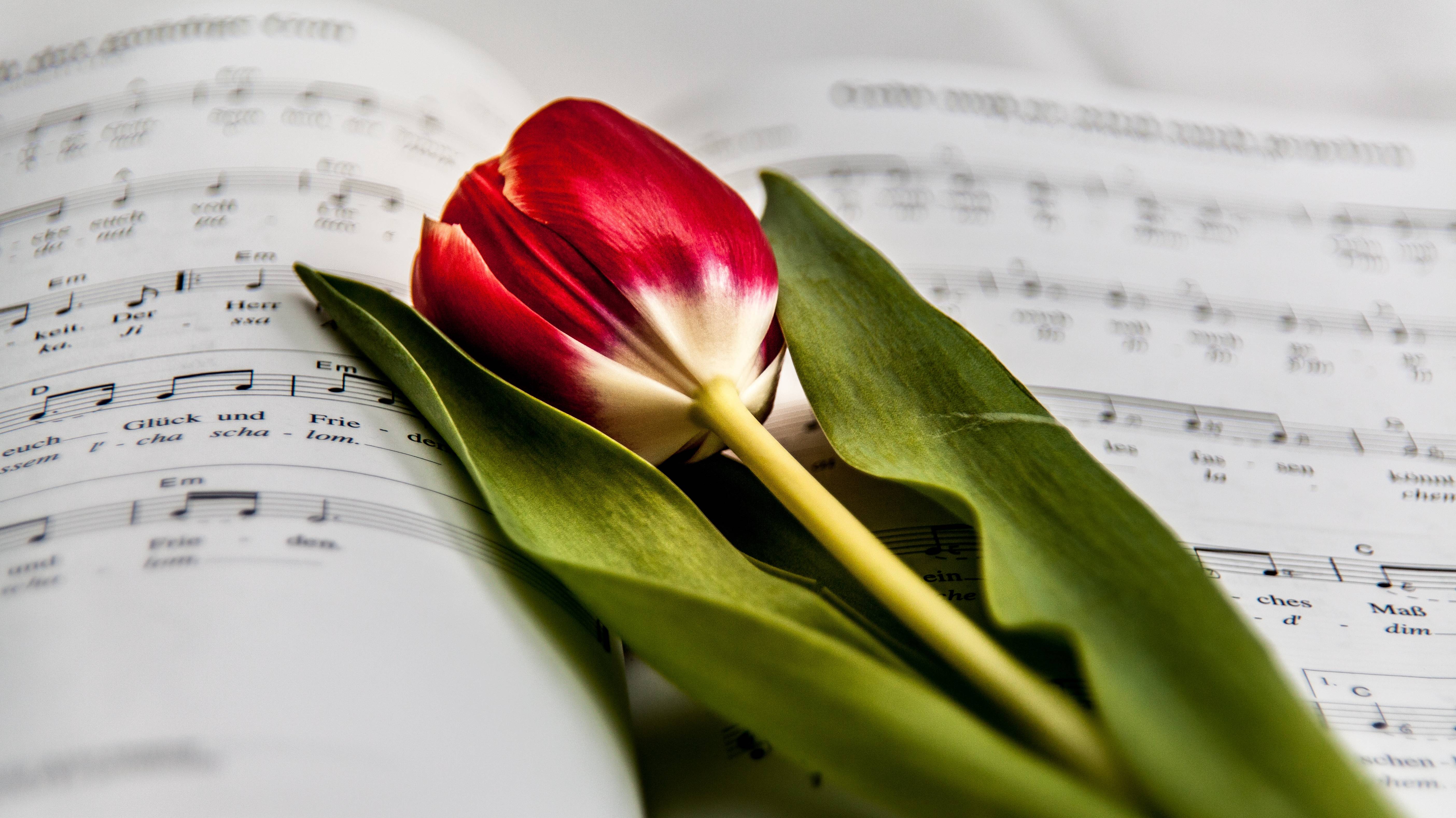 «Родной земли продолжение» смотреть онлайн