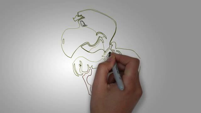 Черепаха рисунок. КАК НАРИСОВАТЬ ЧЕРЕПАХУ поэтапно смотреть онлайн