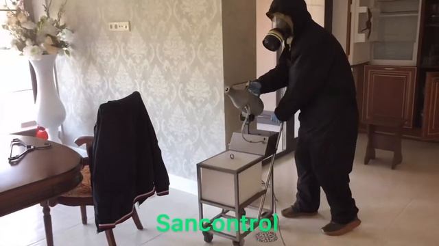 Уничтожение насекомых и грызунов в доме. Уничтожение тараканов, клопов, мышей, муравьев. Дезинфекци смотреть онлайн