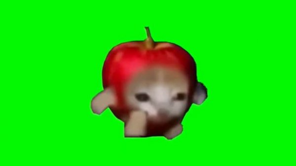 Cat meme green screen [ happy cat , banana cat , apple cat green screen ] #bananacat #happycats