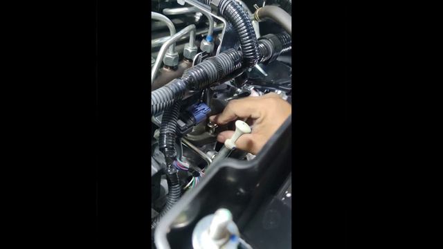 Mitsubishi Triton Mivec 2.4 Egr Delete