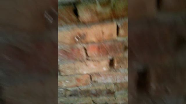 задвижка на кроличью нору смотреть онлайн