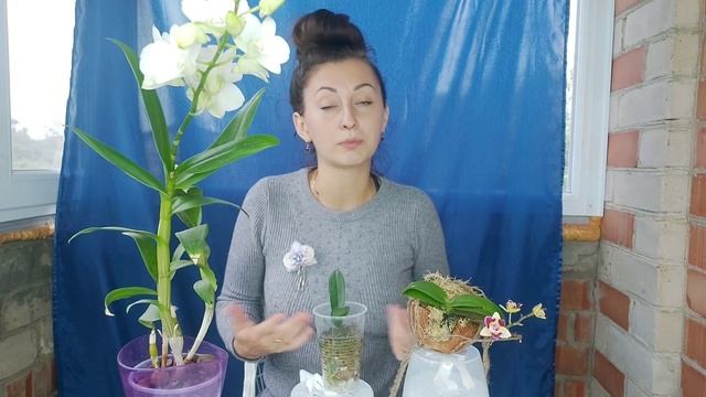 УРА❗РОЗЫГРЫШ ❗ 70 000 на КАНАЛЕ хочу ПОДАРИТЬ ВАМ ПОДАРКИ с @orhorai смотреть онлайн