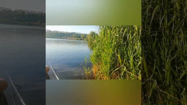 Клуб рыбаков. Пенза с Илюхой на рыбалке. смотреть онлайн