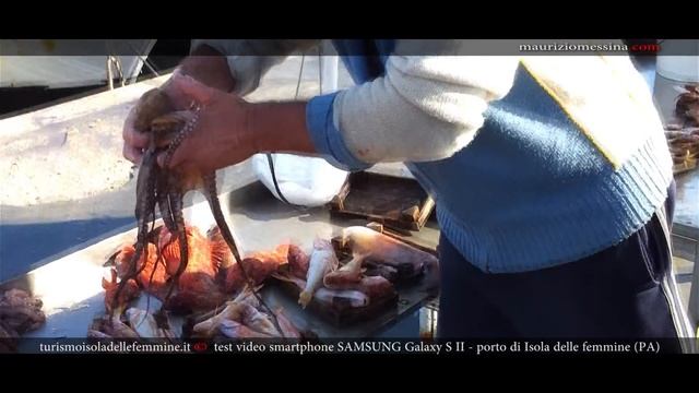 Porto di Isola delle Femmine test video смотреть онлайн