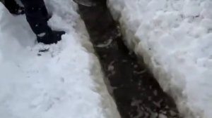 Рыбалка на тягу на старице.