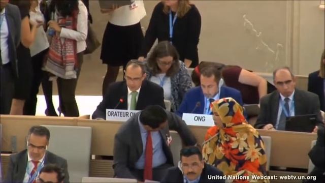 Maurice Hirsch, Senior Military Consultant NGO Monitor, at the UNHRC 9/26/17 смотреть онлайн