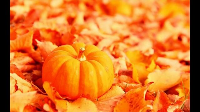 Гармонизация отношений. Часть 2 смотреть онлайн