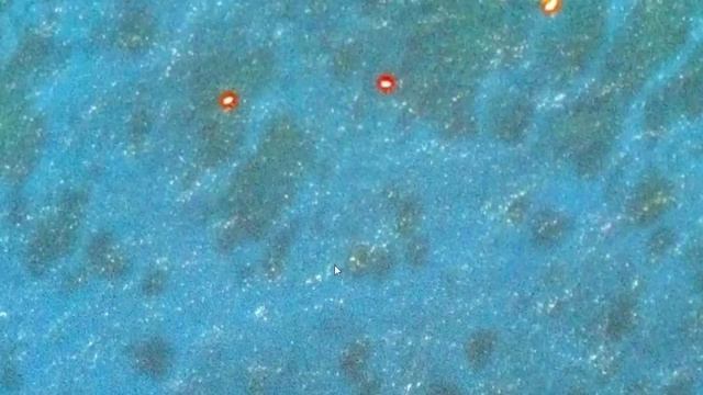 Что это такое? Гугл Мапс \ GOOGLE MAPS