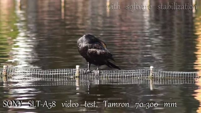 SONY SLT A58 Video Test 04