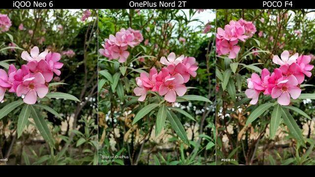 OnePlus Nord 2T vs iQOO Neo 6 vs POCO F4 5G - Full Comparison ! смотреть онлайн
