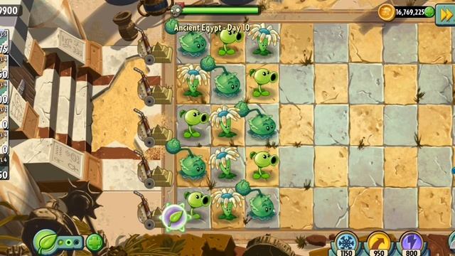 играю в plant vs zombies 2. каждая карта тое и растение смотреть онлайн