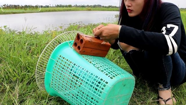 Creative Girl Make Fish Trap Using PVC - Fan Guard - Basket To Catch A Lot of Fish смотреть онлайн