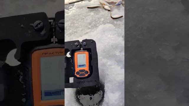 Ловим с эхолотом смотреть онлайн