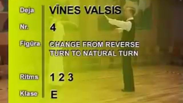 Basic Figures Viennese Waltz смотреть онлайн