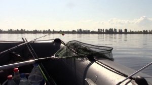 РЫБАЛКА, ПОЙМАЛ СТЕРЛЯДКУ НА КАМЕ