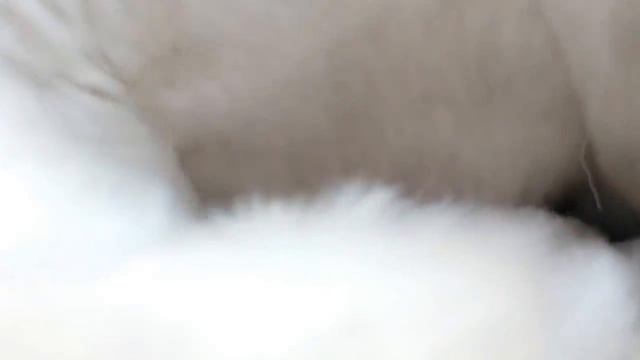 Унты обзор смотреть онлайн