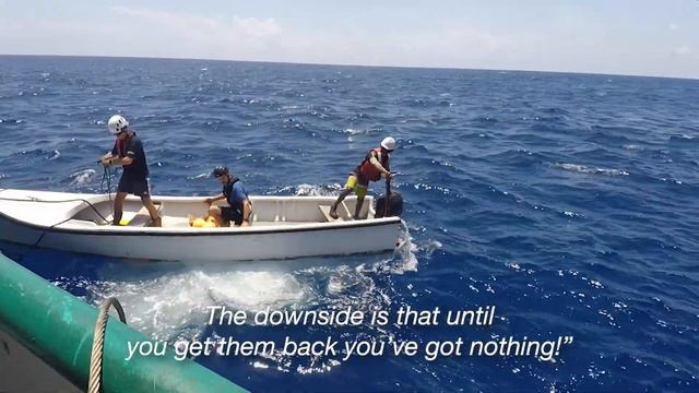 Underwater Mountains in the Indian Ocean смотреть онлайн