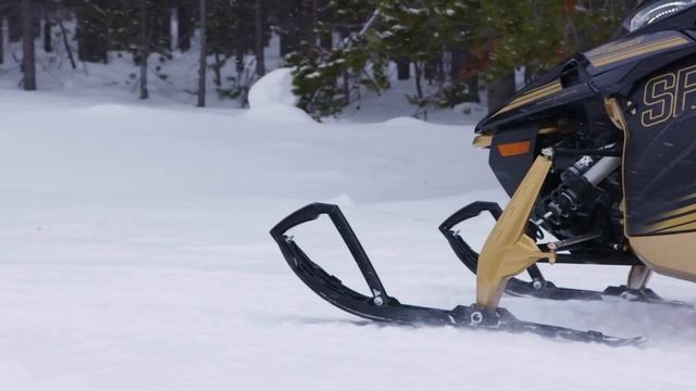 Sidewinder SRX LE EPS 2024 смотреть онлайн