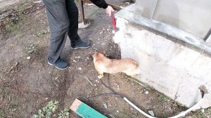 Утеплили очень старый дом! Комфорт выше, плата ниже