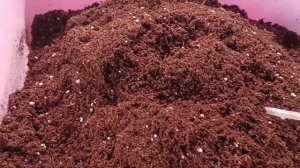 Грунт для  пеларгоний