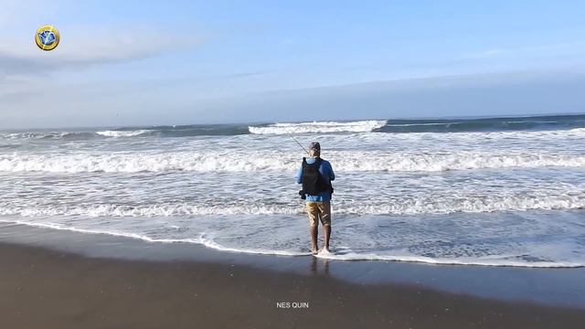 Al Amanecer Dos Pescadores Descubren en la Playa una Poza Llena de Corvinas смотреть онлайн