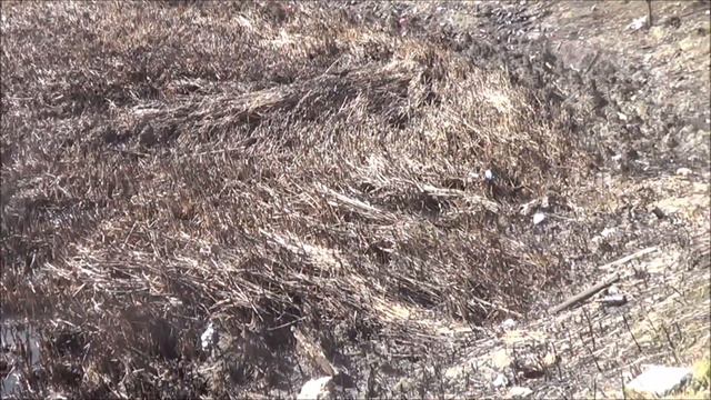 утренние НОВОСТИ БЕЛЬБЕКА 10 09 2020г смотреть онлайн