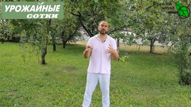 Лечим и используем гнилье с пользой! ГНИЮТ яблоки - ИСПРАВИМ! смотреть онлайн