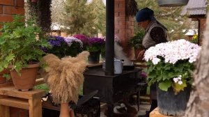 Куриная паэлья по-деревенски со свежим чесноком Азербайджанская Кухня Деревенская Кухня  Рецепты